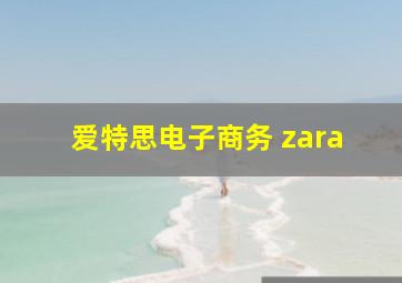 爱特思电子商务 zara